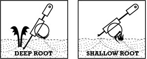 Groundhog Schematic