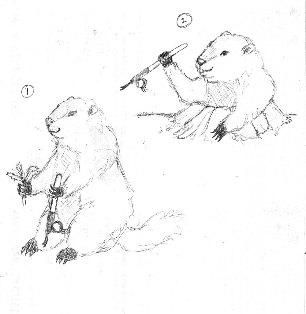 Gus Groundhog sketches 1 and 2