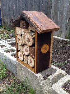 Finished bee box