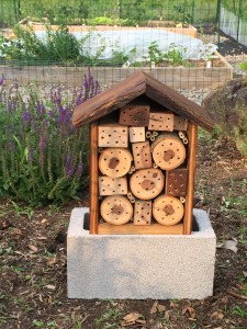 Bee box in mom's garden